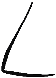Image of the occurrence